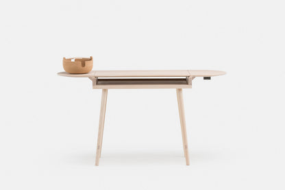 COMPANIONS WRITING DESK — shot 5