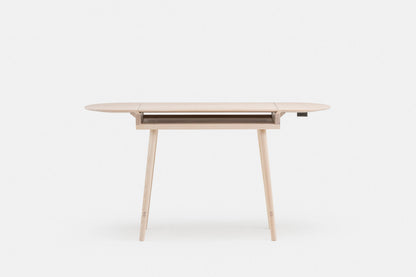 COMPANIONS WRITING DESK — shot 4