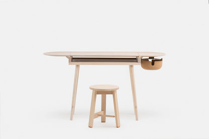 COMPANIONS WRITING DESK — shot 3