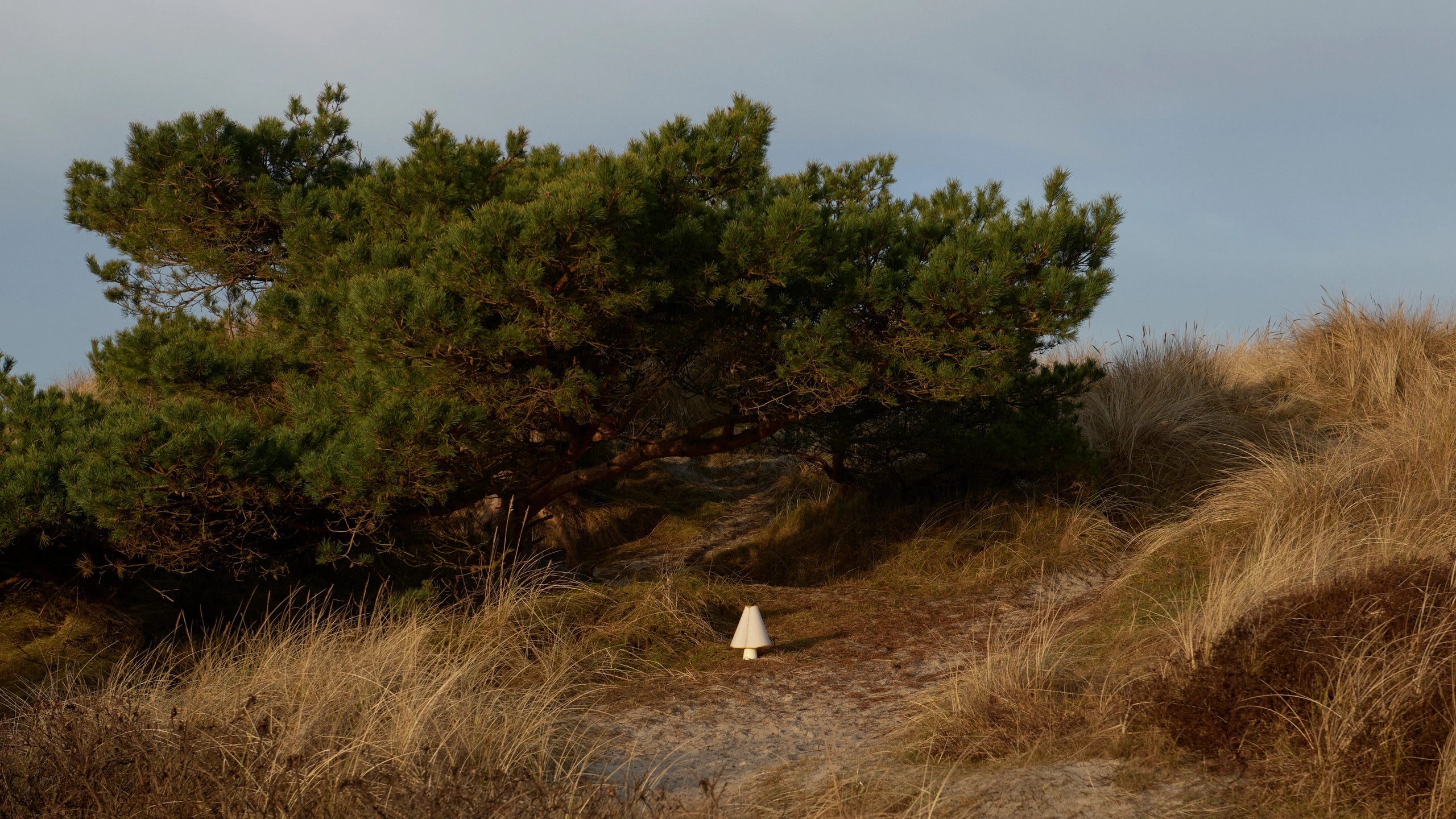 Hornbæk Portable Lamp by GUBI — Lifestyle Images 7 of 7
